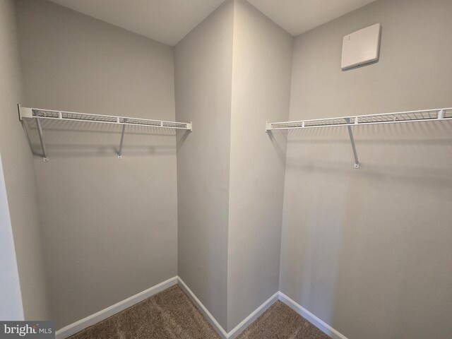 1248 Steed St, Ranson, WV 25438 - walk in closet with carpet floors