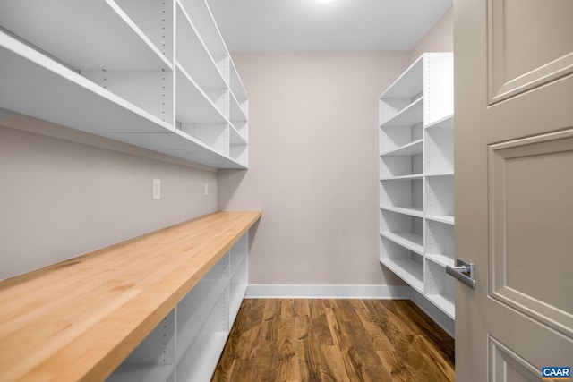 729 Highgate Row, Crozet, VA 22932 - view of pantry
