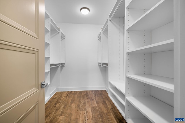 729 Highgate Row, Crozet, VA 22932 - walk in closet with dark wood-style floors