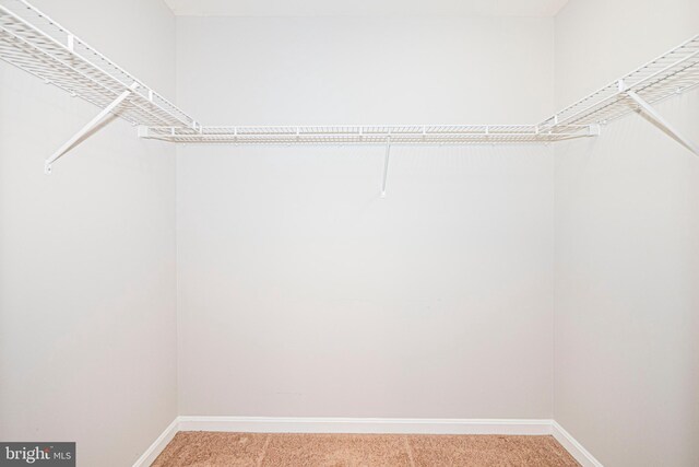 11919 Little Seneca Pkwy, Clarksburg, MD 20871 - walk in closet featuring light colored carpet