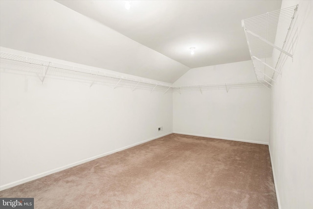5 Primrose Dr, Burlington Township, NJ 08016 - spacious closet with carpet flooring and vaulted ceiling