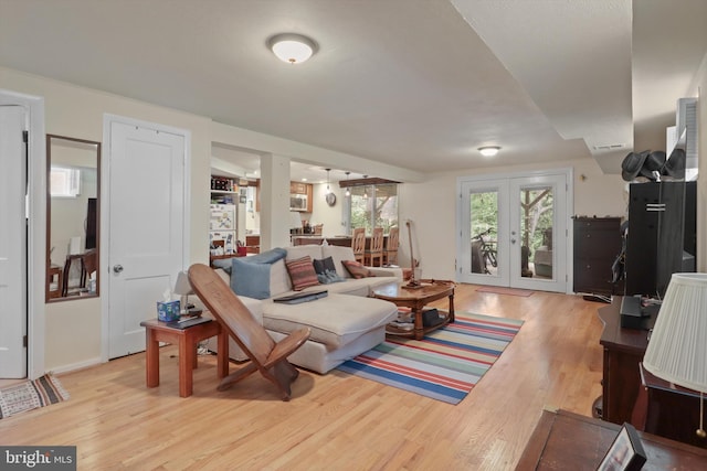 3615 22nd St N, Arlington, VA 22207 - living room featuring light wood-style floors and french doors