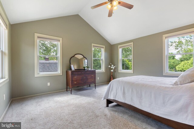 1104 N Pleasantview Rd, Pottstown, PA 19464 - bedroom with carpet, lofted ceiling, multiple windows, and baseboards
