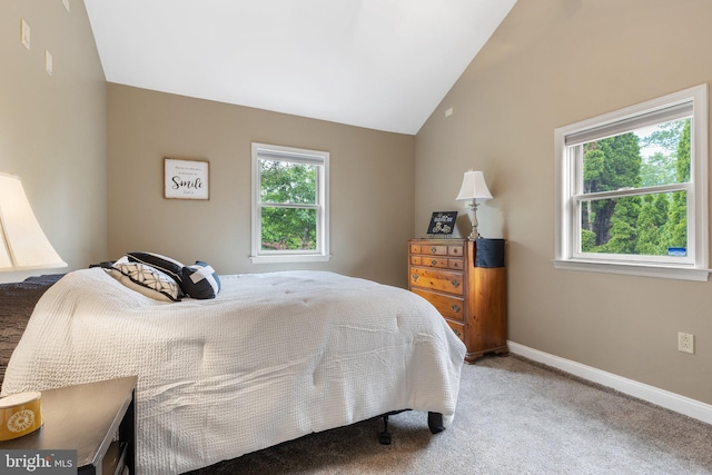 1104 N Pleasantview Rd, Pottstown, PA 19464 - bedroom with vaulted ceiling, multiple windows, carpet floors, and baseboards