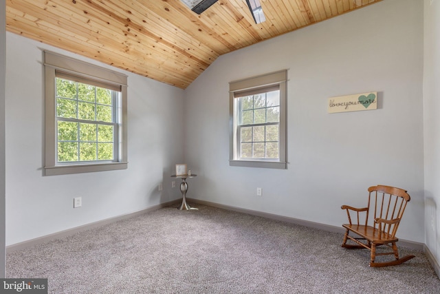 1104 N Pleasantview Rd, Pottstown, PA 19464 - unfurnished room featuring plenty of natural light, carpet flooring, wood ceiling, lofted ceiling, and baseboards