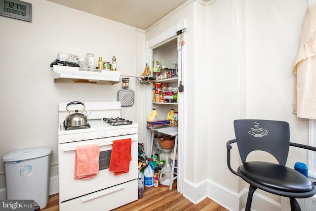 616 Chestnut Ave, Trenton, NJ 08611 - view of pantry