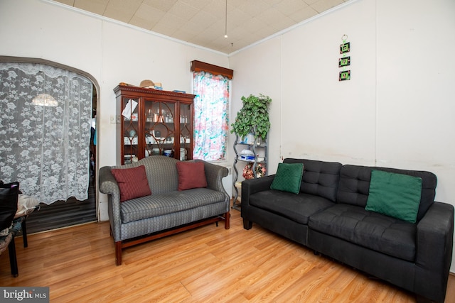 616 Chestnut Ave, Trenton, NJ 08611 - living room featuring wood finished floors and ornamental molding