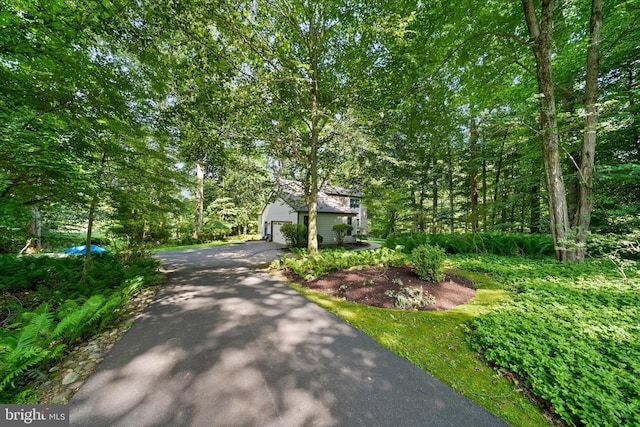 59 Carter Rd, Thornton, PA 19373 - view of property hidden behind natural elements with asphalt driveway