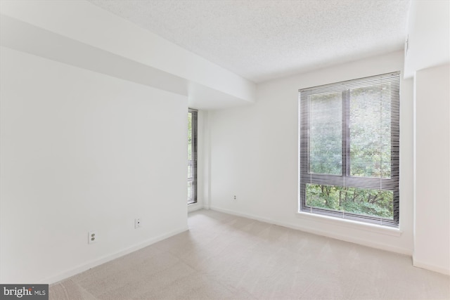 801 N Howard St Unit 305, Alexandria, VA 22304 - empty room with plenty of natural light, light colored carpet, a textured ceiling, and baseboards