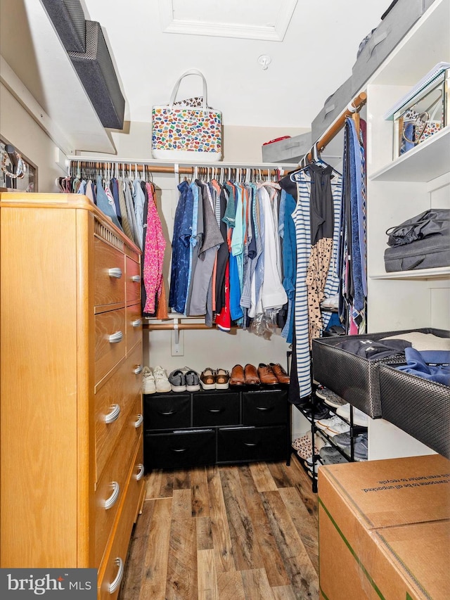 1501 Rambling Way, Frederick, MD 21701 - walk in closet with wood finished floors