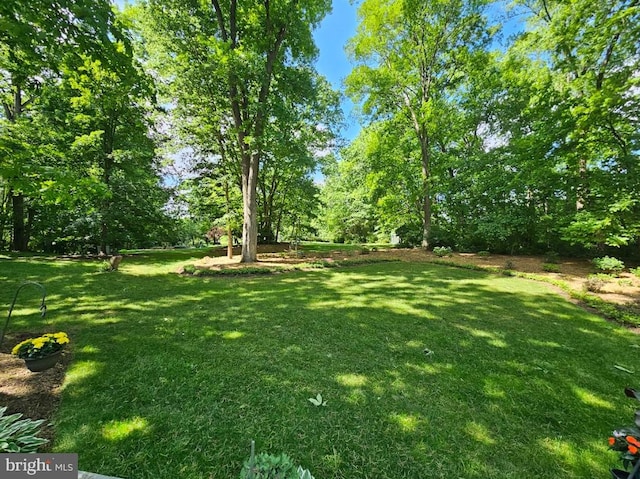 16245 River Bend Ct, Williamsport, MD 21795 - view of grassy yard