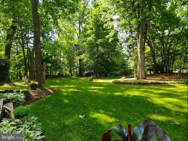 16245 River Bend Ct, Williamsport, MD 21795 - view of grassy yard
