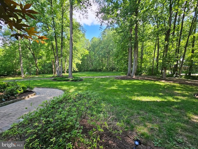 16245 River Bend Ct, Williamsport, MD 21795 - view of green lawn