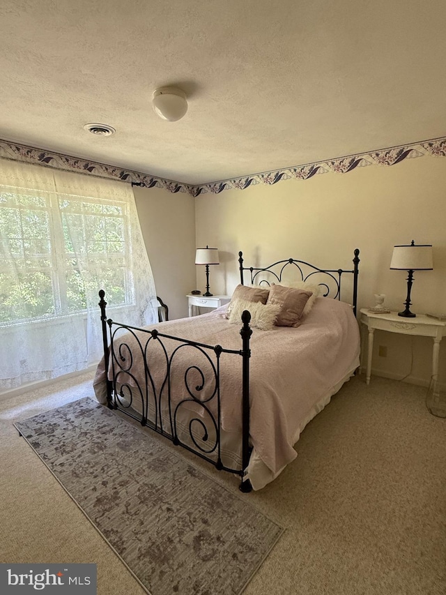 55 Ithica Ln, High View, WV 26808 - carpeted bedroom featuring a textured ceiling