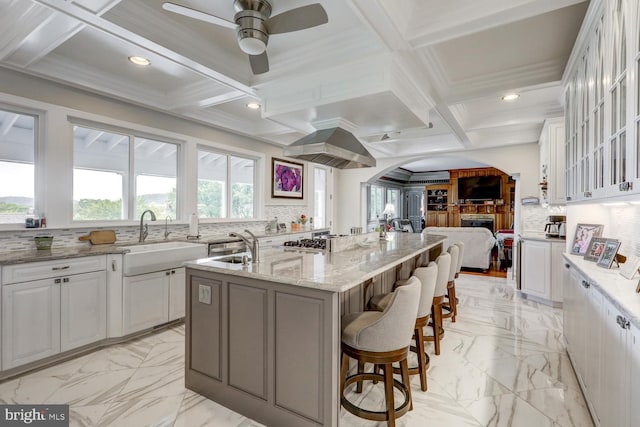 419 Coffee Goss Rd, Marietta, PA 17547 - kitchen with a sink, coffered ceiling, ceiling fan, tasteful backsplash, and recessed lighting