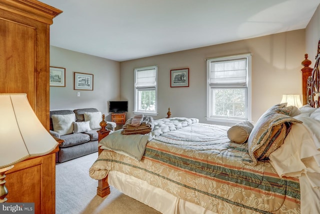419 Coffee Goss Rd, Marietta, PA 17547 - view of carpeted bedroom