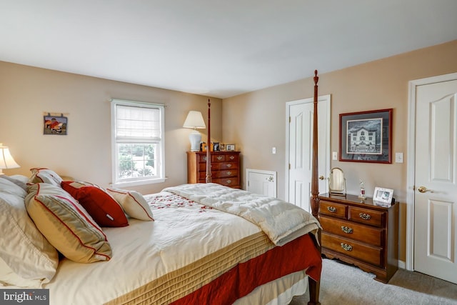 419 Coffee Goss Rd, Marietta, PA 17547 - bedroom with light colored carpet