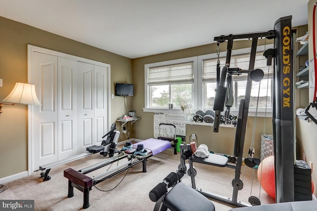 419 Coffee Goss Rd, Marietta, PA 17547 - workout room featuring baseboards and carpet