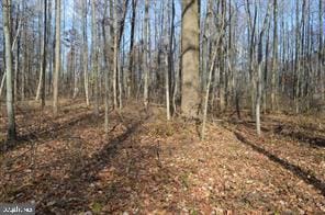 0 Joppa Rd, Perry Hall, MD 21128