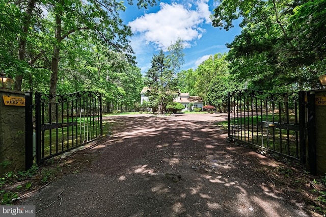 437 S 8th S, Galloway, NJ 08205 - view of dirt / gravel driveway with a gate and a gated entry