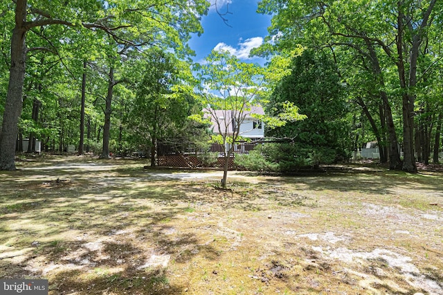437 S 8th S, Galloway, NJ 08205 - view of yard