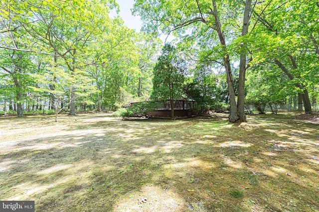 437 S 8th S, Galloway, NJ 08205 - view of yard with a deck