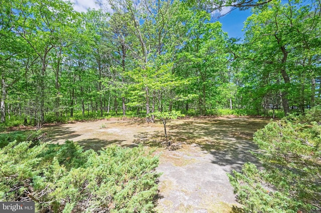 437 S 8th S, Galloway, NJ 08205 - view of yard with a wooded view