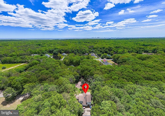 437 S 8th S, Galloway, NJ 08205 - drone / aerial view of a heavily wooded area