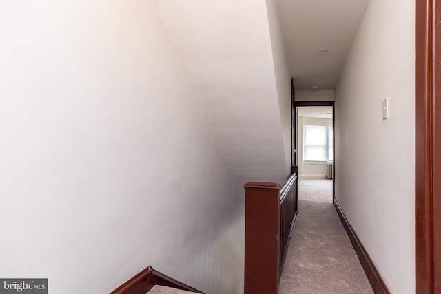 22 E 6th St, Pottstown, PA 19464 - hallway with an upstairs landing, carpet floors, and baseboards