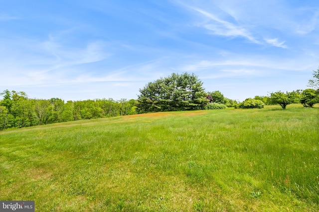 3577 Olde Bedminster Rd, Ottsville, PA 18942 - view of yard