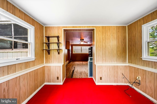 3577 Olde Bedminster Rd, Ottsville, PA 18942 - empty room featuring wood walls and baseboards