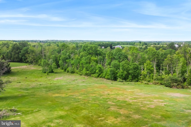 3577 Olde Bedminster Rd, Ottsville, PA 18942 - view of yard featuring a view of trees