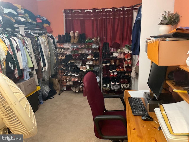 office featuring carpet flooring