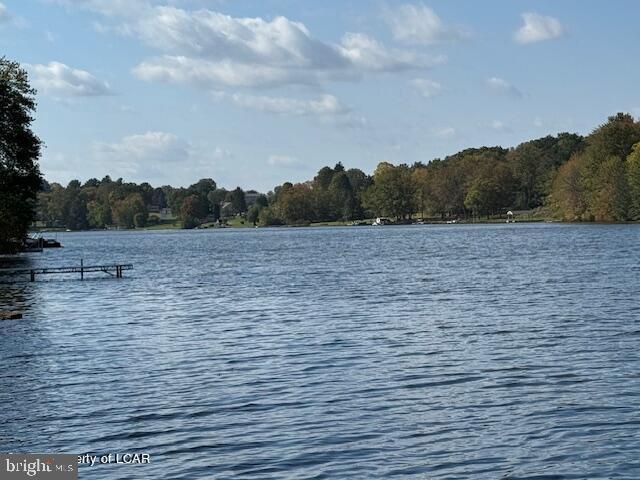 279 Apache Dr, Shickshinny, PA 18655 - water view with a heavily wooded area