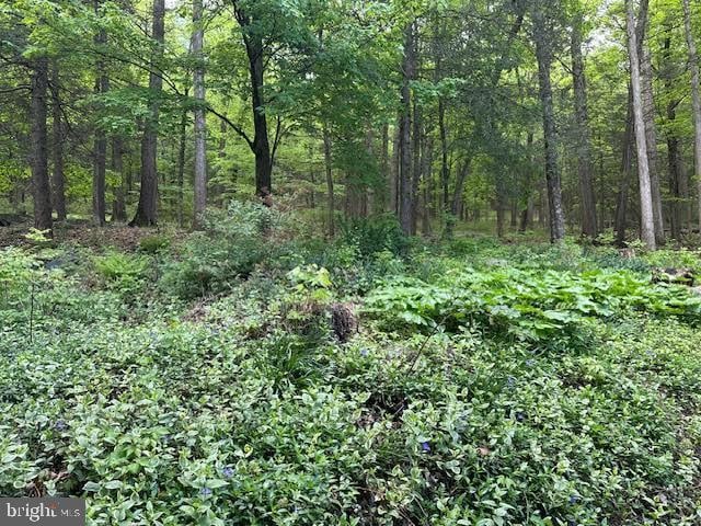 142 Fawn Rd, Reedsville, PA 17084 - view of tree filled area
