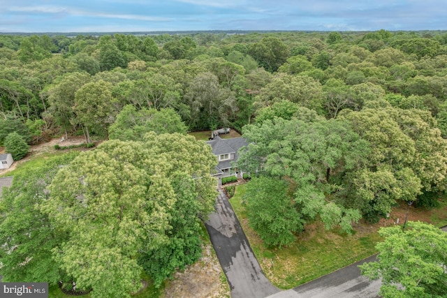 7857 Holly Branch Dr, Laurel, DE 19956 - aerial view of property and surrounding area with a forest