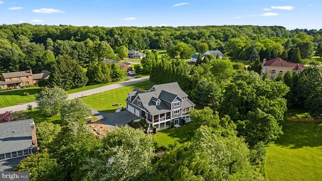 13492 Allnutt Ln, Highland, MD 20777 - drone / aerial view of a forest