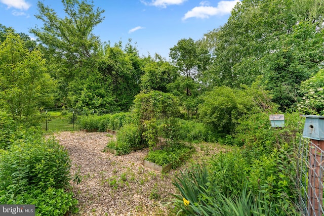 13492 Allnutt Ln, Highland, MD 20777 - view of local wilderness