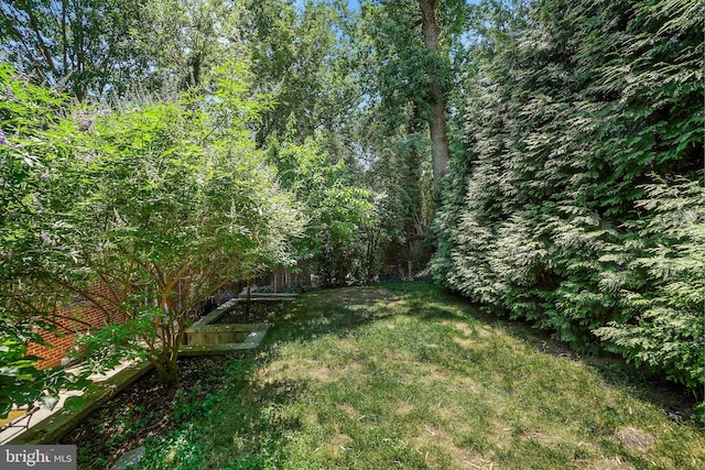7906 Garland Ave, Takoma Park, MD 20912 - view of green lawn