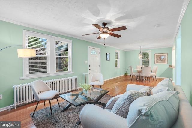 7906 Garland Ave, Takoma Park, MD 20912 - living room featuring light wood-style flooring, crown molding, baseboards, radiator, and ceiling fan