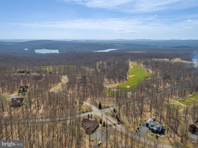 137 Biltmore Vw, Mc Henry, MD 21541