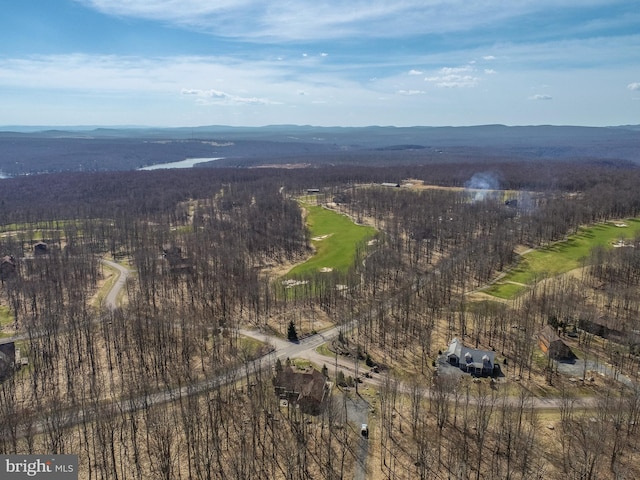137 Biltmore Vw, Mc Henry, MD 21541
