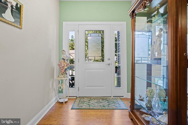 26360 Timbercreek Ln, Millsboro, DE 19966 - foyer with plenty of natural light, wood finished floors, and baseboards