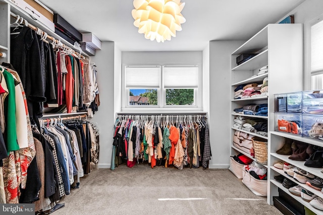 4047 Holly Way, Doylestown, PA 18902 - walk in closet with carpet floors and a chandelier