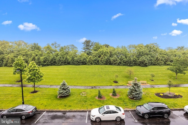 5328 Meridian Blvd, Warrington, PA 18976 - view of grassy yard