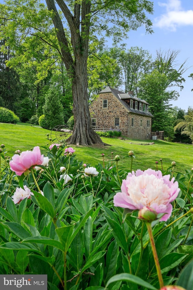 601 Maplewood Rd, Wayne, PA 19087 - view of grassy yard