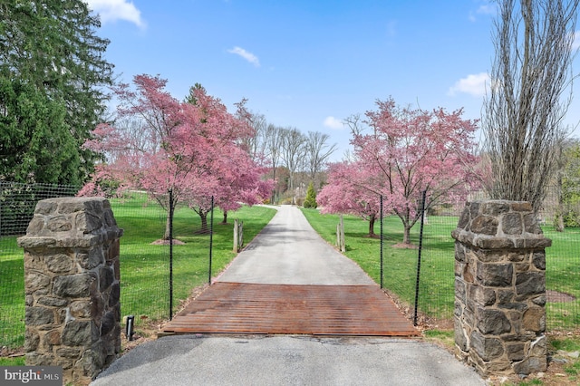 601 Maplewood Rd, Wayne, PA 19087 - view of street