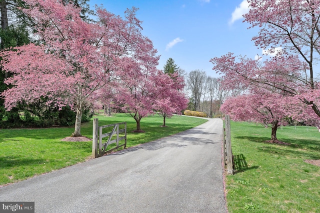 601 Maplewood Rd, Wayne, PA 19087 - view of asphalt road