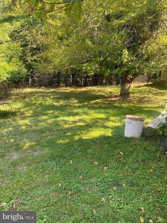3240 Pope St SE, Washington, DC 20020 - view of yard