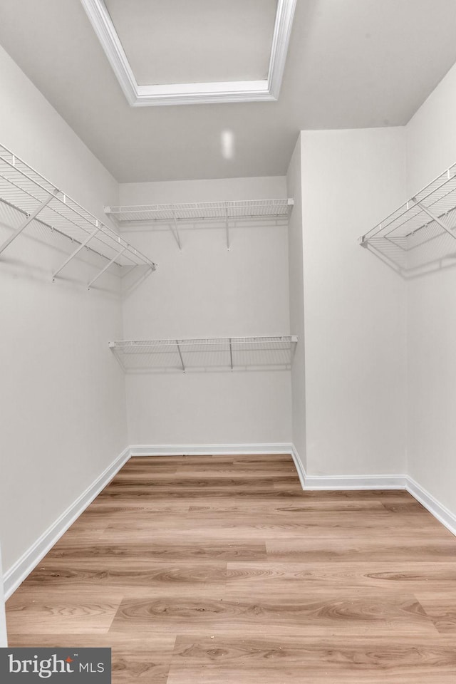 20524 Blue Heron Ter, Sterling, VA 20165 - walk in closet with light wood-type flooring